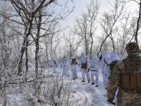 Donbas