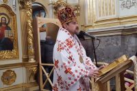 Vladyka Teodor